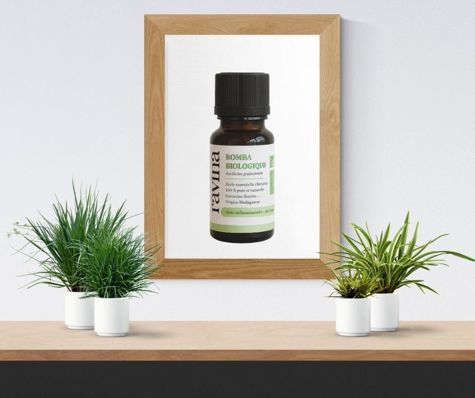 L’huile essentielle de Romba 🌿 - par le Dr Carole MINKER