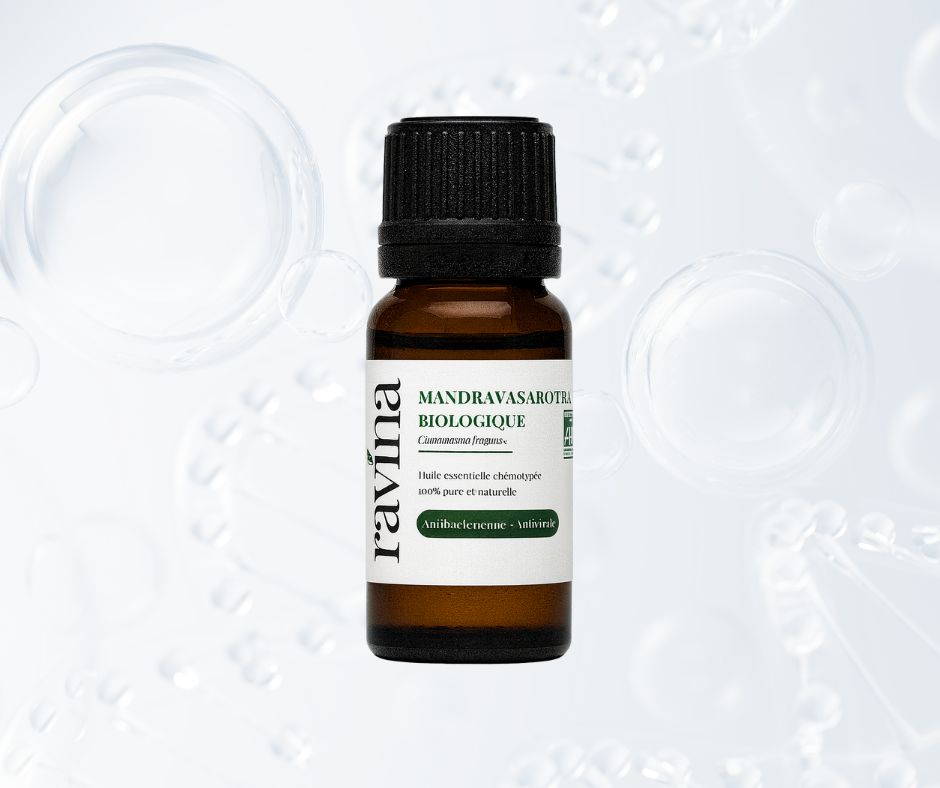 Les 3 indispensables pour l'hiver