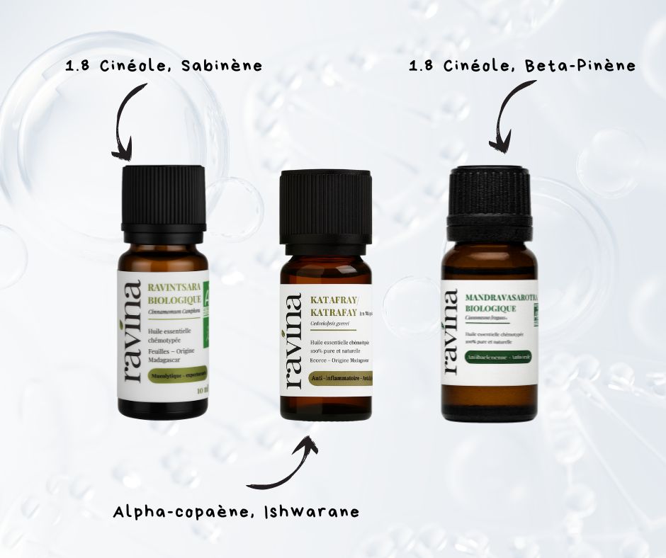 Les 3 indispensables pour l'hiver