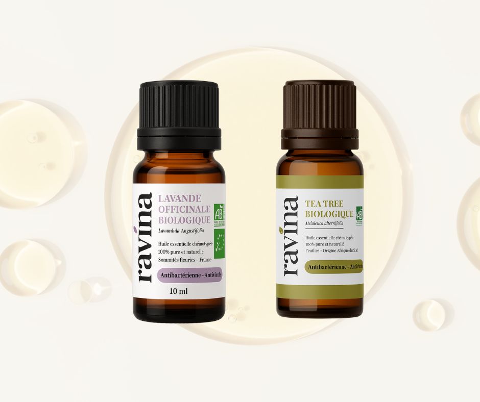 Duo de choc pour l’hiver – Lavande Officinale et Tea Tree