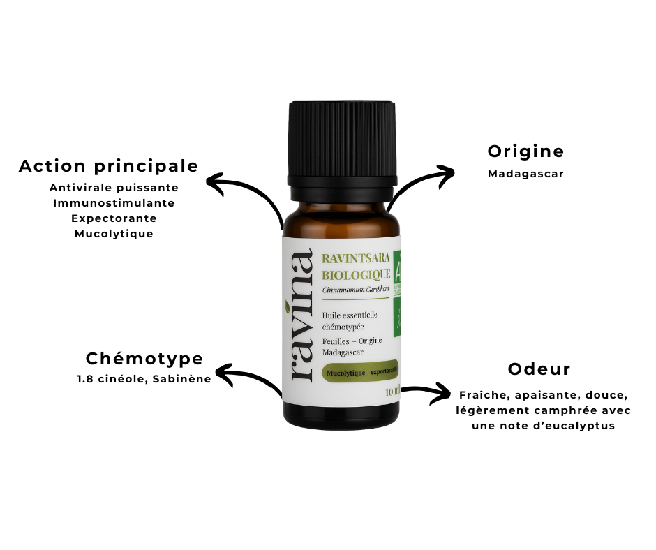 Ravintsara Biologique - 10 mL