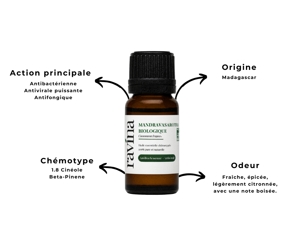 Mandravasarotra Biologique - 10 mL