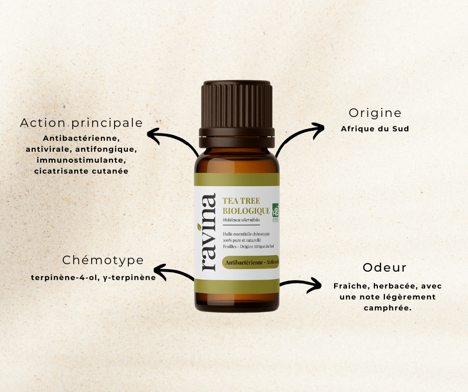 Tea Tree